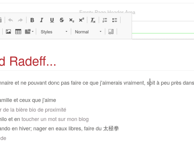 customcsswysiwyg01.png
